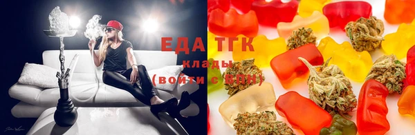 крисы Абаза