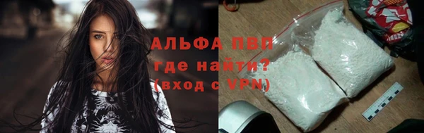 крисы Абаза