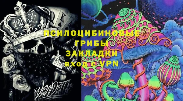 крисы Абаза