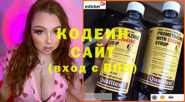 крисы Абаза