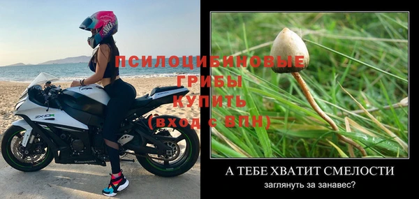 крисы Абаза