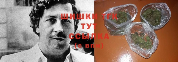 крисы Абаза