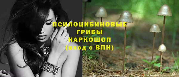 крисы Абаза