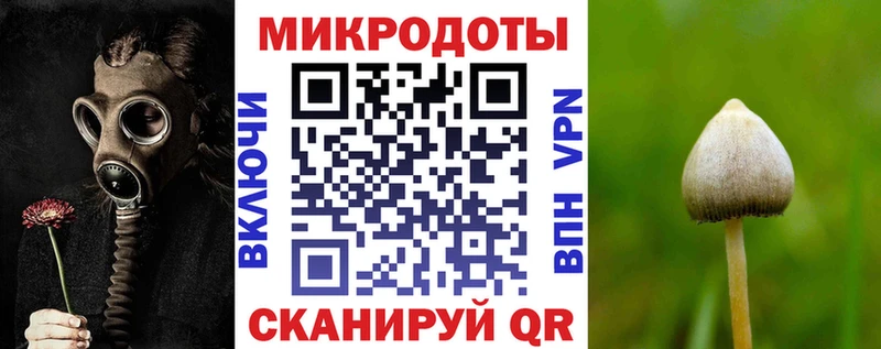 как найти Норильск Псилоцибиновые грибы мицелий